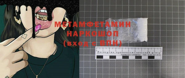шишки Новодвинск