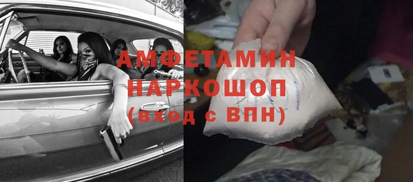 шишки Новодвинск