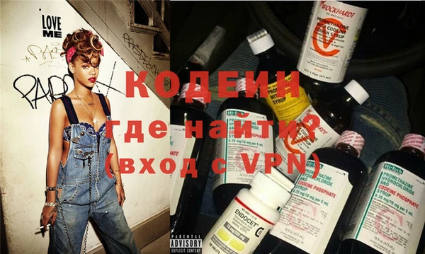 шишки Новодвинск
