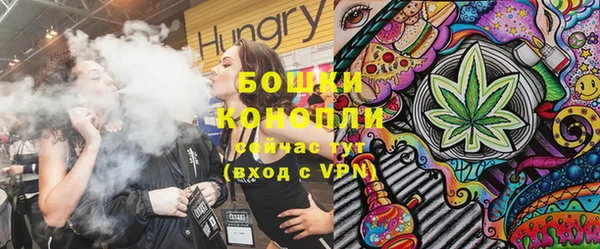шишки Новодвинск