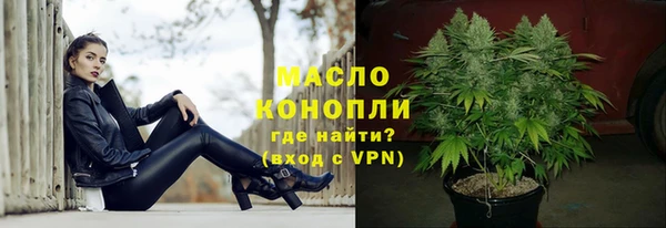 шишки Новодвинск