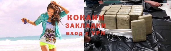 шишки Новодвинск