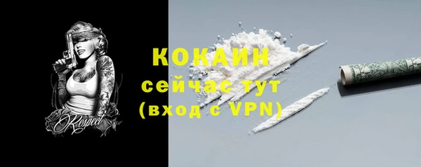 шишки Новодвинск
