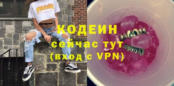 шишки Новодвинск