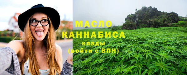 шишки Новодвинск
