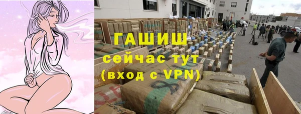 шишки Новодвинск